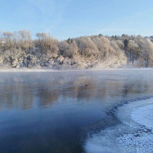 Photo #13358382