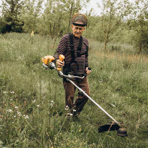 Photo #13358383