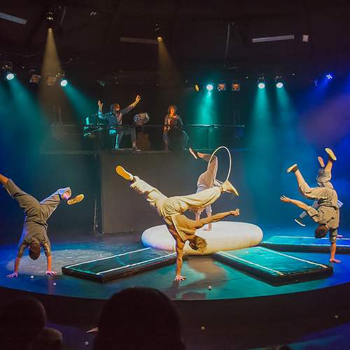 Упсала цирк