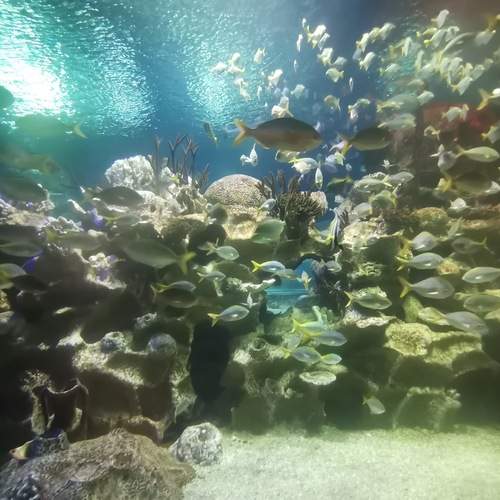 Photo #13358559