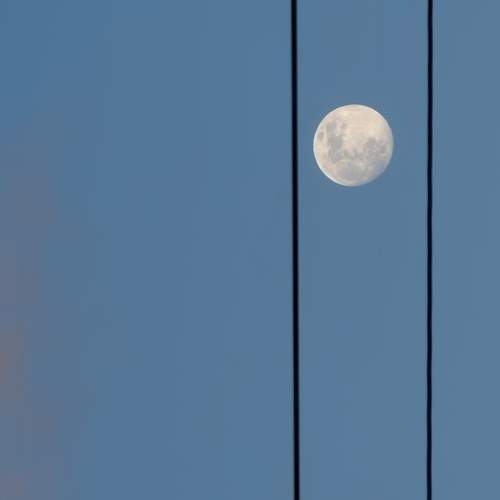 Photo #13358641