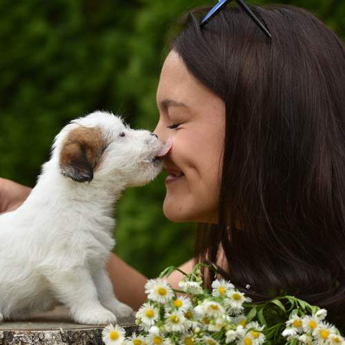 Photo #13358759