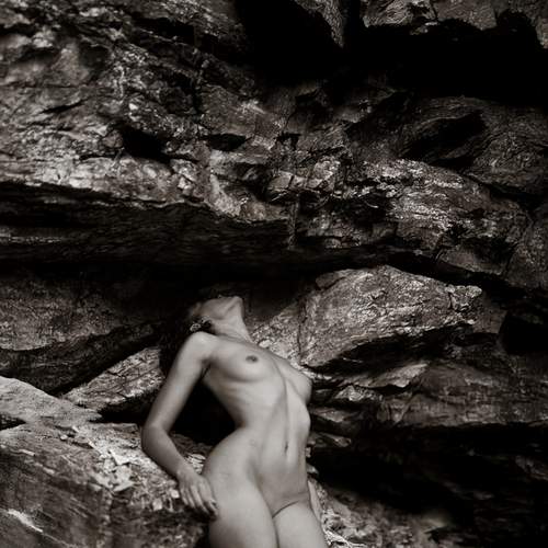 Photo #13358902