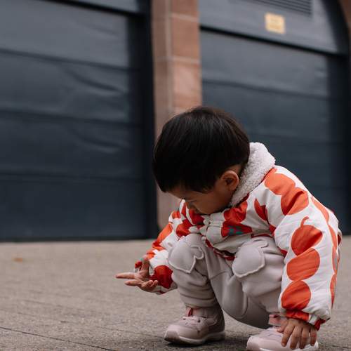 Photo #13358932