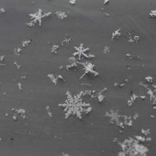 Photo #13358975
