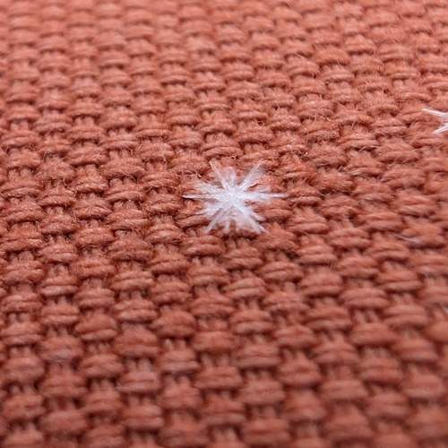 Photo #13359027