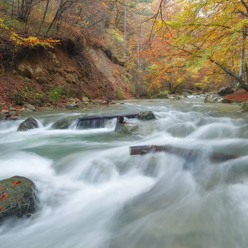 В Большом каньоне Крыма осень.
