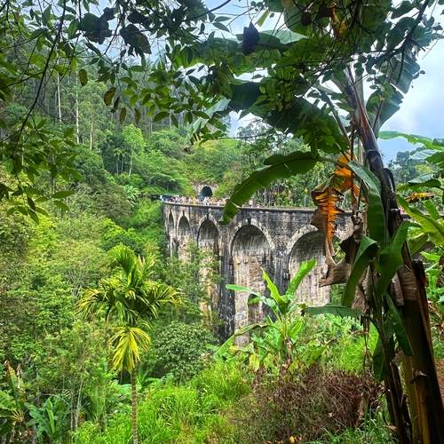 Фотография #13359068