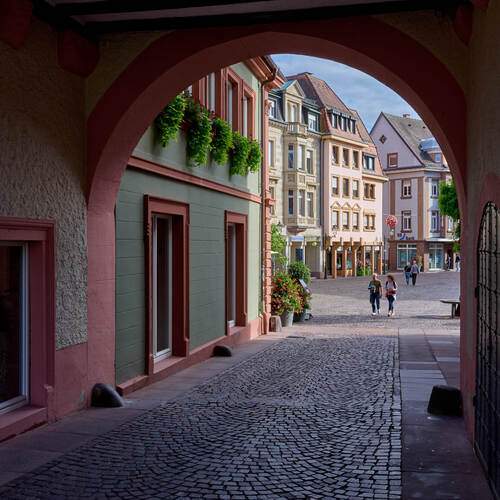 Photo #13359150
