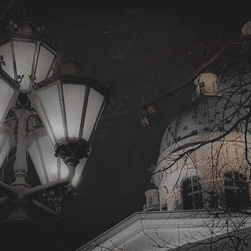 Photo #13359182