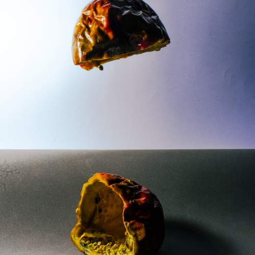 Photo #13359406