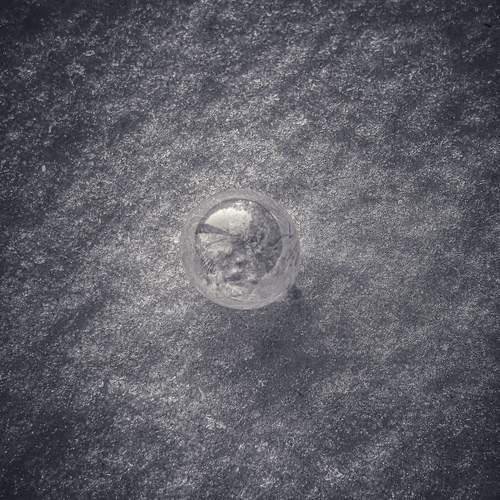 Photo #13359411