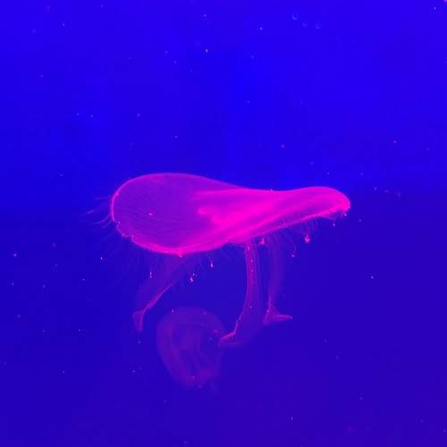 Photo #13359515
