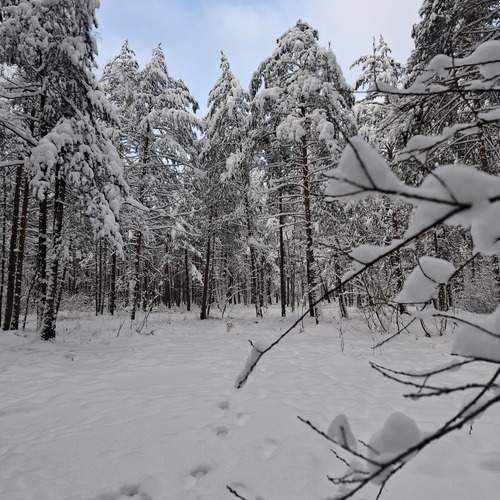 Photo #13359524