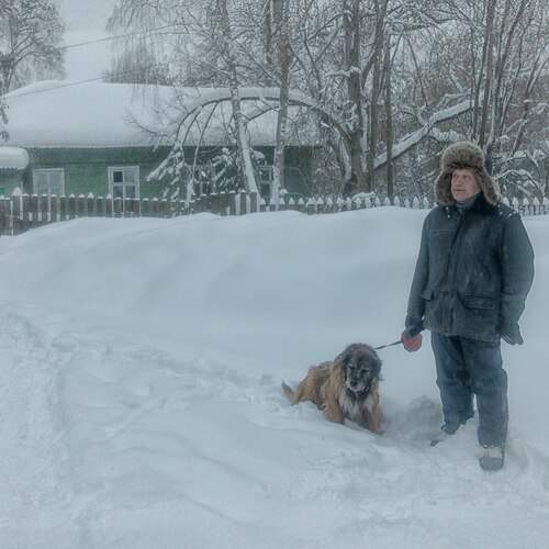 Снежный день