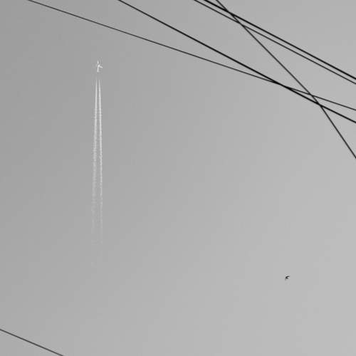 Photo #13359633