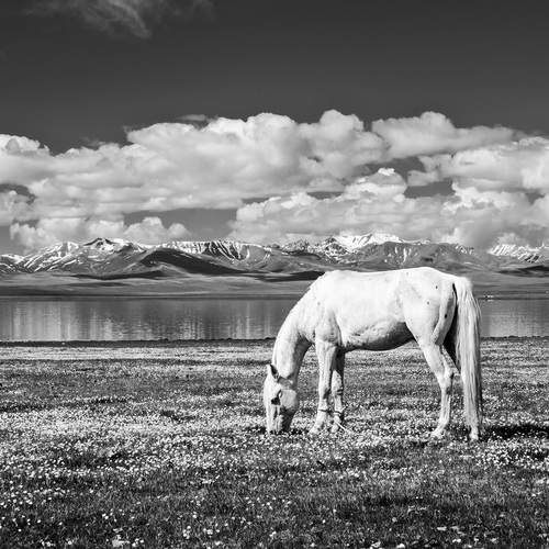 Фотография #13359679