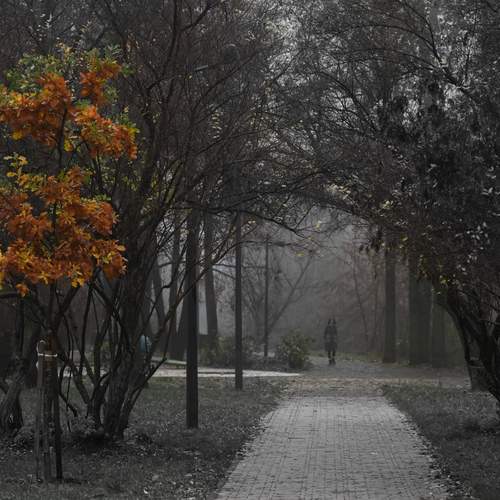 Photo #13359695