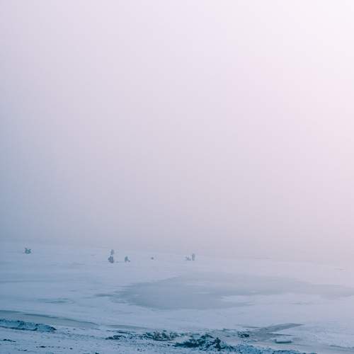 Photo #13359709