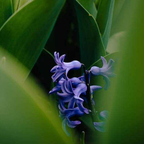 Photo #13359713
