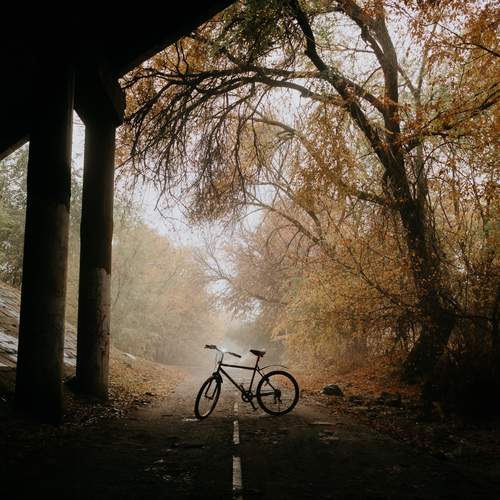 Photo #13359722