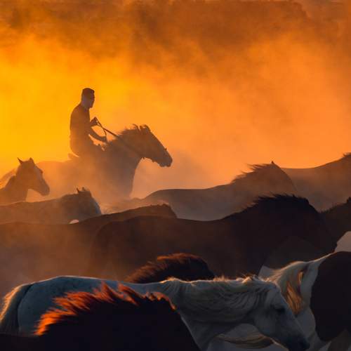 Photo #13359871