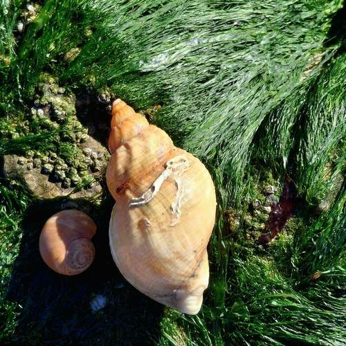 Photo #13359978