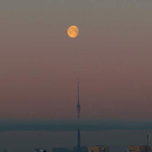 Photo #13359995