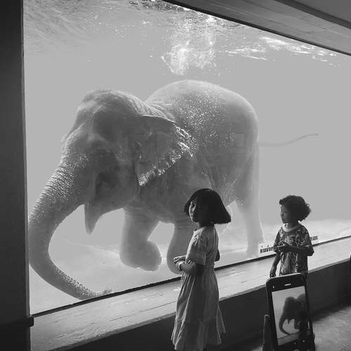 Photo #13360167