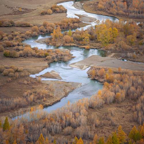 Photo #13360270