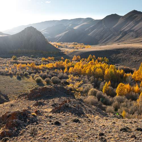 Photo #13360335