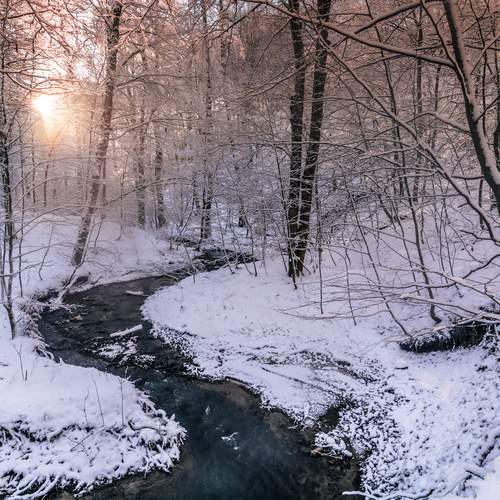 Photo #13360355