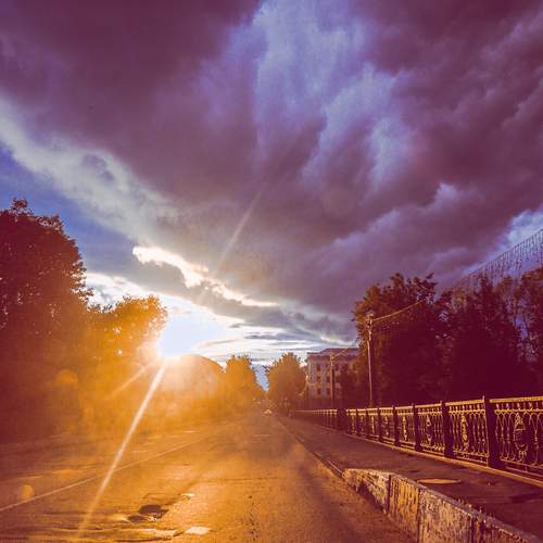 Photo #13360495