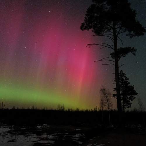 Photo #13360506