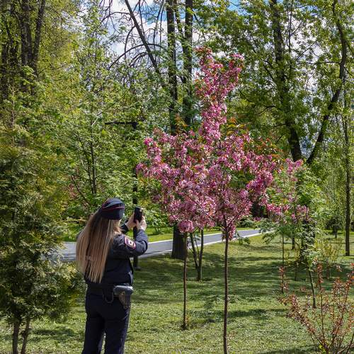Photo #13360698
