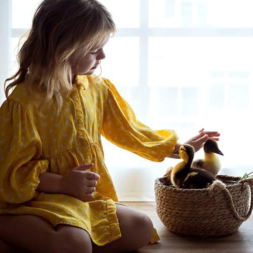 Photo #13360709