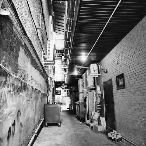 Photo #13360722