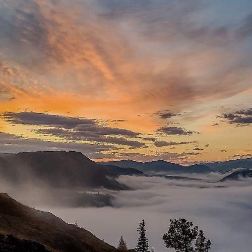 Photo #13360831