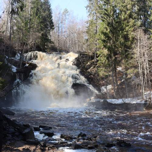 Photo #13360877