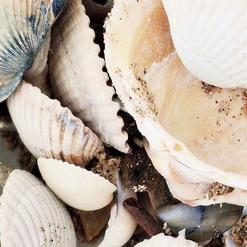 Photo #13360888