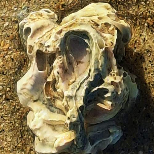 Photo #13360889