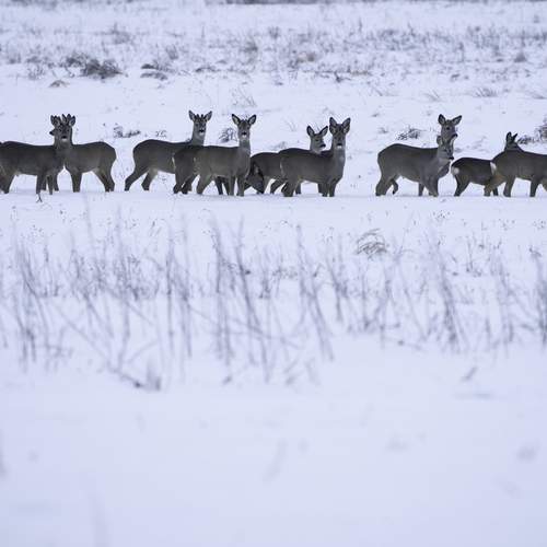 Photo #13361052