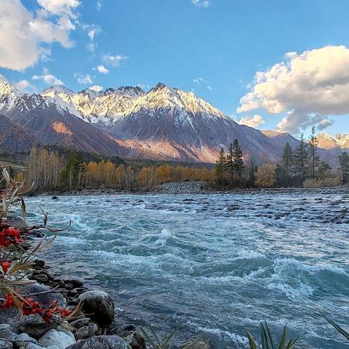 Photo #13361103