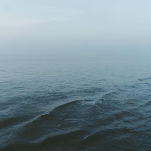 Photo #13361152