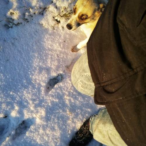 Photo #13361212