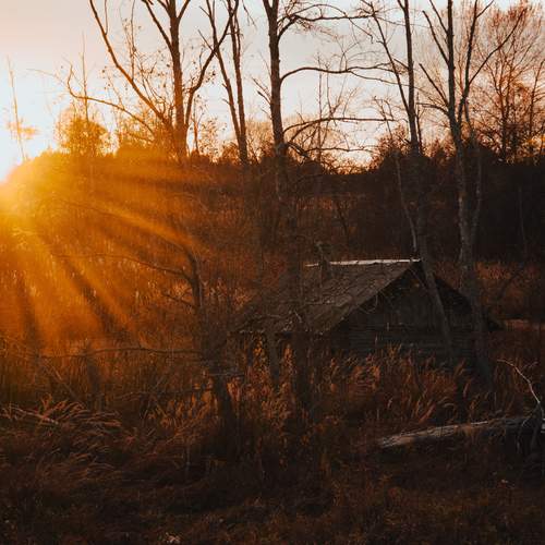 Photo #13361220