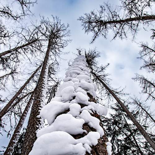 Photo #13361282