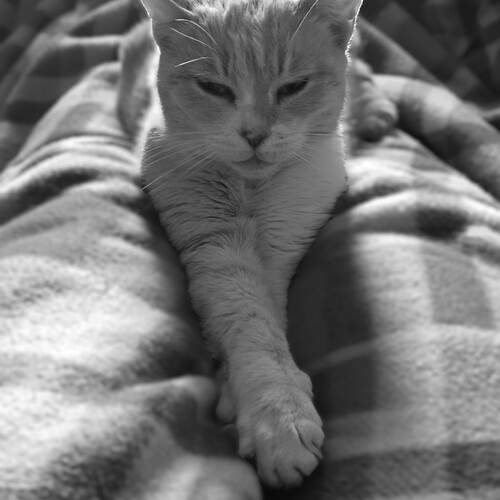 Photo #13361357
