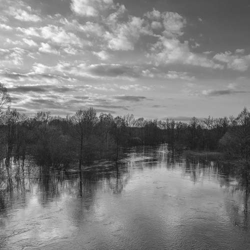 Фотография #13361458