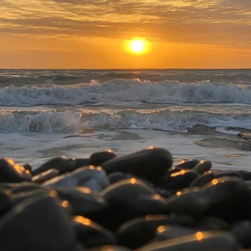 Photo #13361475